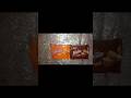 Novita waffers chocolate and orange #asmr #chocolate