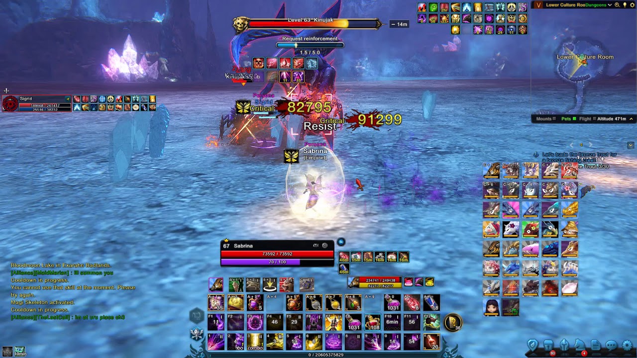 Project Icarus Tomb of the Wyrm H5 (Duo)