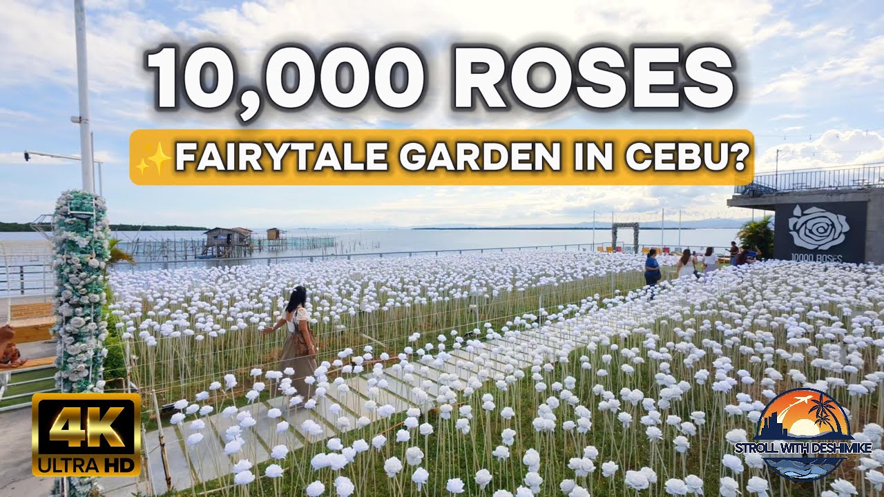 10000 Roses Café Cebu – A Magical Garden by the Sea