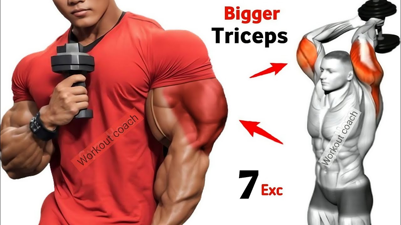 How To Build Bigger Tricep ( 7 Effective Tricep Exercises ) 
