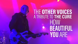 How Beautiful You Are (The Cure cover) - The Other Voices