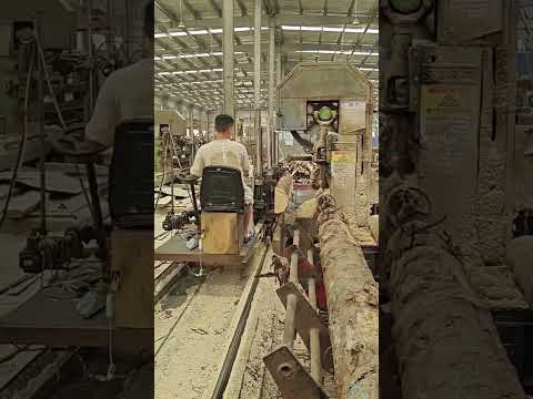 #woodcut #carpentry #diy #woodcuting #cuttingwood #cutting #toolsmachine #woodworking #machine