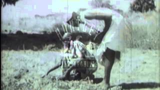 Agriculture in Nigeria, 1950's - Film 6858