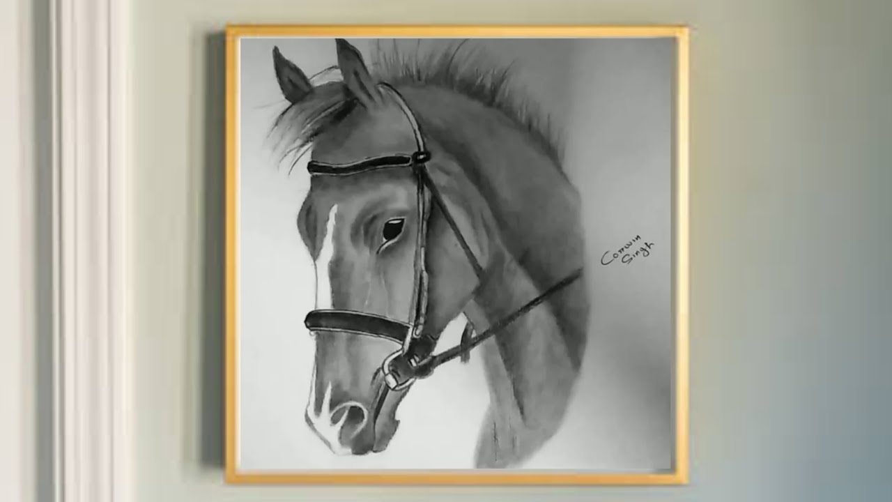 how to draw a horse Pencil drawing art #horse #horses #drawing #art # ...