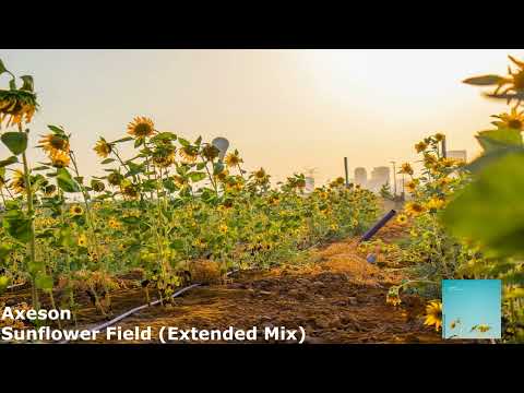 Axeson - Sunflower Field (Extended Mix)[SHM099]