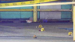 GULF FWY Fatal Shooting, Houston, TX