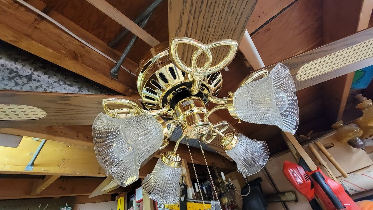 Jcpenney Ceiling Fans Shelly Lighting
