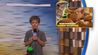State Fair Experience Day 10 Session 16