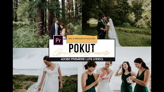 POKUT PAKETİ / DEMO VİDEO - ADOBE PREMİERE LUT'S