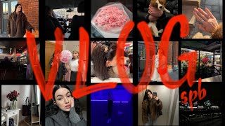 : VLOG  |    |   |  