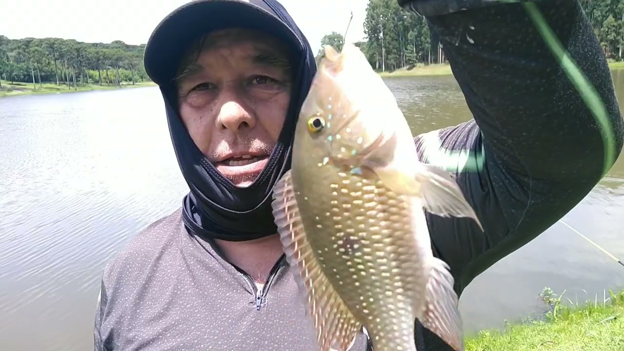 muita Natureza e peixe bom 