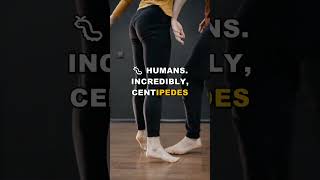 Why Centipedes Laugh and What Triggers It Will Surprise You