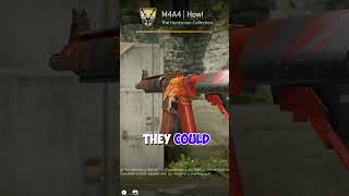 What Your CS2 Skins Say - Huntsman Case Edition
