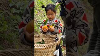 A young couple harvests oranges to sell at the market and takes care of their young children#viral