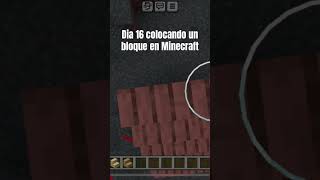 Dia 16 colocando un bloque en Minecraft