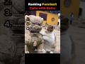 Ranking Funniest Cat With Balls