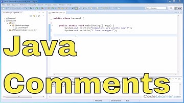 10 - Commenting Code in Java Programming