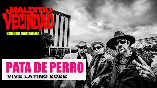 Maldita Vecindad - Pata de Perro Vive Latino 2022 (Sonora Santanera)