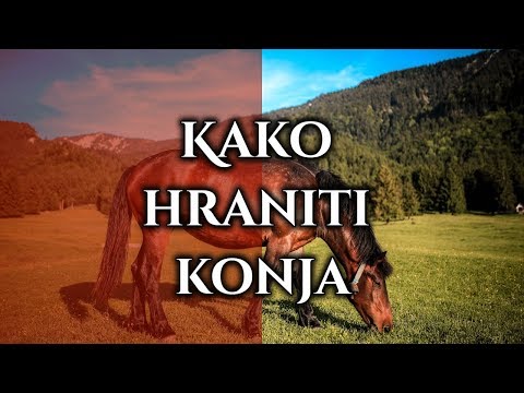 Video: Kako ukrotiti konja (s slikami)