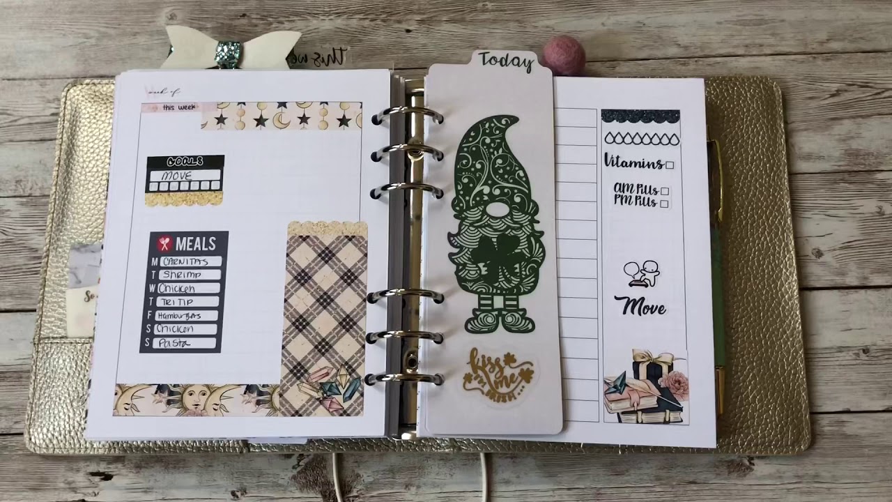 B6 rings health planner using PP weeks kit