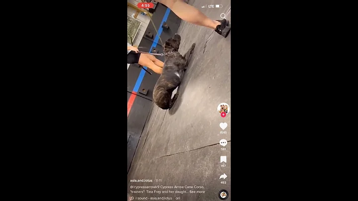 Could Tina Frey and daughter Victoria get a slap o...