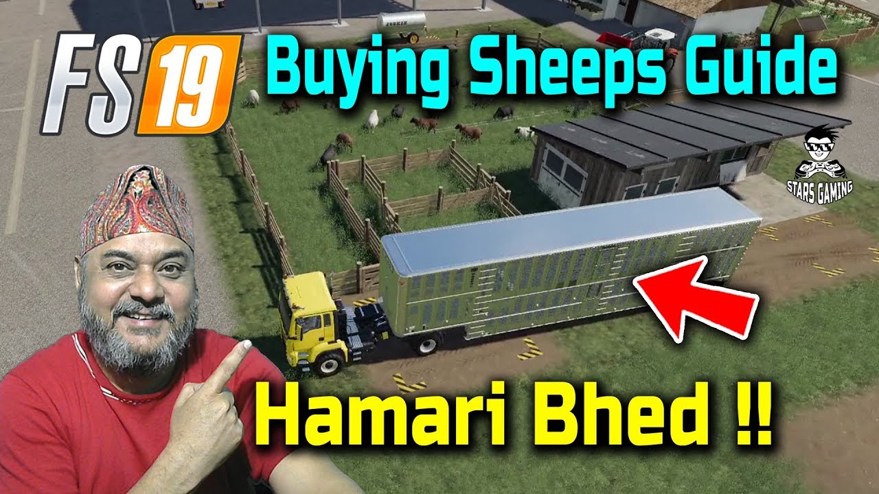 FS19 Felsbrunn - Buying and Feeding Sheep, Sheep Food
