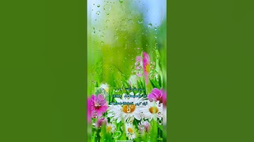سوره بقره آیه  ۱۹ #قرآن کریم _ ترجمه_ دری_ فارسی #قرآن کریم _#قرآن #ترجمه_ فارسی