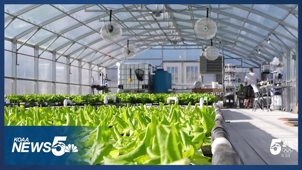 Aquapod Farm aims to support families with limited access to fresh food