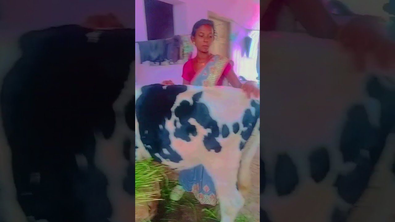 Lampy lamti bimari ko lampy tiwari ko thik karne ka gharelu uska