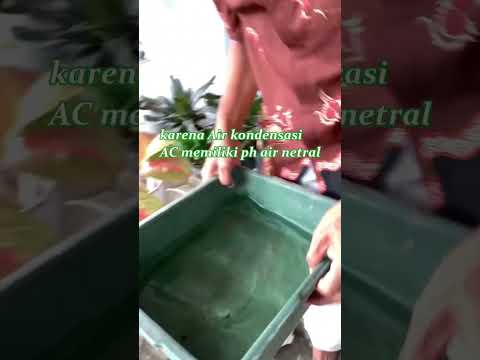 Video: Apakah itu pemanas air pemeluwapan?