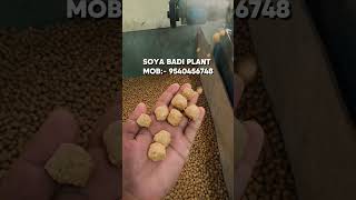 Soya Badi plant #trendingreels #businessideas #businesstips #business #viral