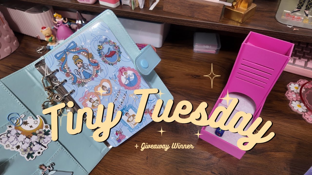 Миниатюрный вторник за 30 долларов | Победитель розыгрыша 💌 Хранилище Сатурна