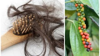 गंजेपन और बाल झड़ने का सरल घरेलू उपचार Home Remedy for Baldness & Hairfall