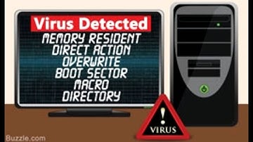 Different Types of Computer Viruses Everyone MUST Know About