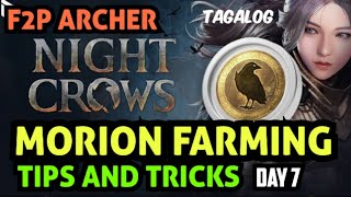 MORION FARMING TIPS AND TRICKS Part 1 NIGHT CROWS I F2P ARCHER NIGHT CROWS FREE TO PLAY TO EARN NFT