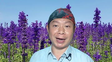 BGP Injection instead of Leak, my observation notes for MyEtherWallet incident [Show IP Protocols]