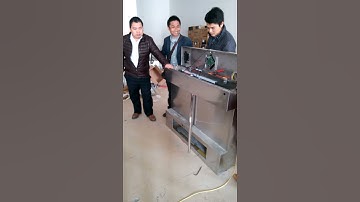 Swing gate with Anti collision function