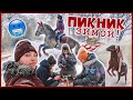 Зимний ПИКНИК с ЛОШАДЬМИ 😱 2х дневный VLOG