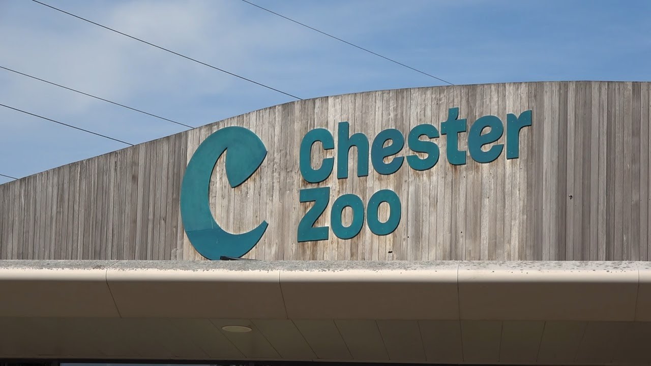 Chester Zoo, July 2025