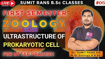 Ultrastructure Of Prokaryotic Cell || Zoology - 1st Semester
