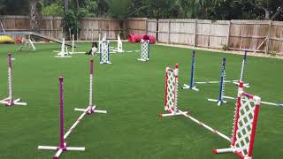 Randy Jump grids