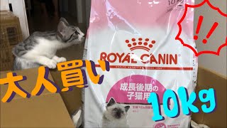 猫ごはんを大人買い？！