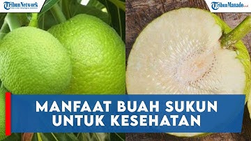 Manfaat Buah Sukun Untuk Kesehatan, Baik Untuk Jantung Hingga Kurangi Risiko Kanker