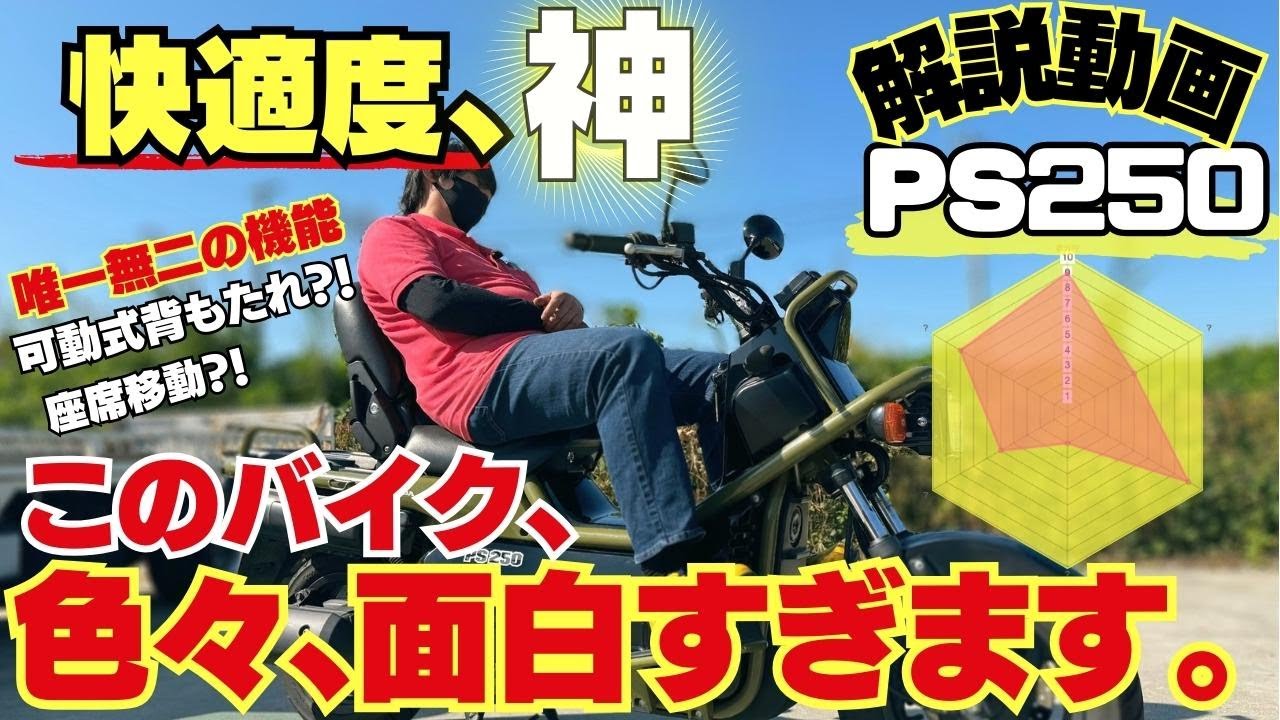発売すぐに廃盤】大人気の【PS250】は時代が追いついてなかった…希少で