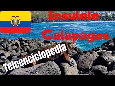 Video: Cea mai bună perioadă pentru a vizita Insulele Galapagos