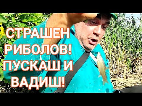 Видео: Какви риби хапят през октомври