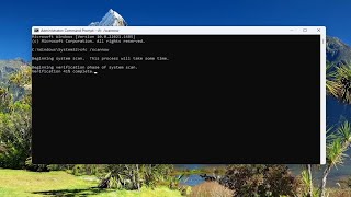 How To Reset Settings App On Windows 11 [Guide]