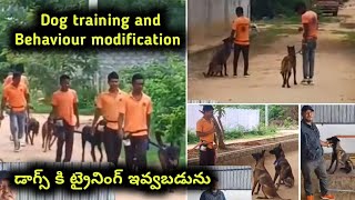  Dog training and Behaviour modification available /98494 86806 /aj pets 