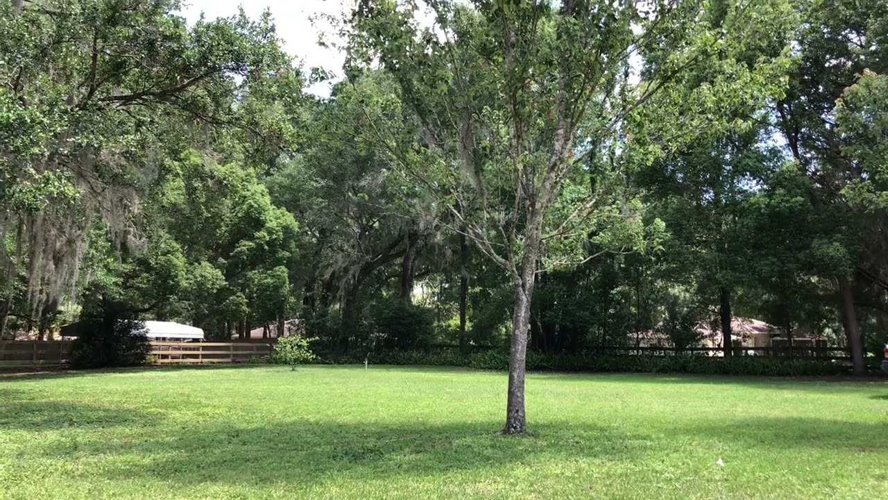 Sharing My Personal Experiences as a Professional Tarot Card Reader