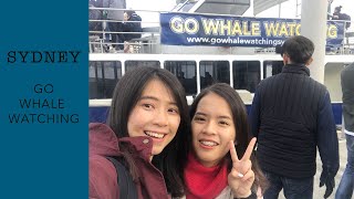 SYDNEY GO WHALE WATCHING